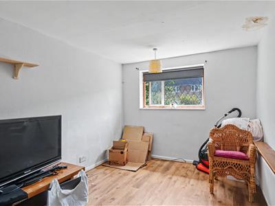Picture 12